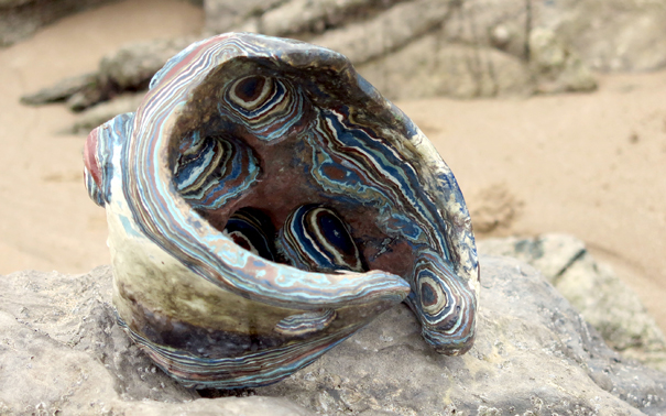 Sea Curl 2015, stoneware (21x21x14cms)